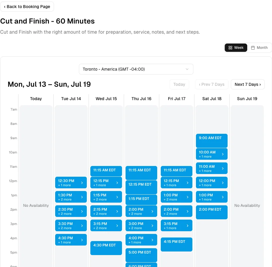 Hair Salon software showing booking week.